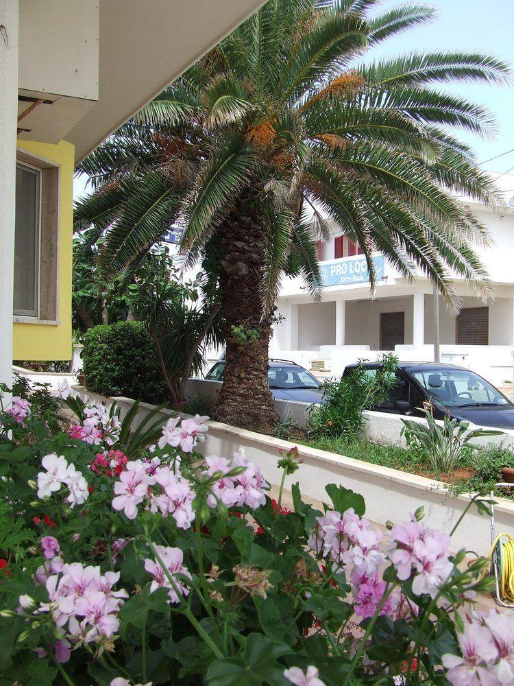 Hotel Albatros Torre Vado Extérieur photo